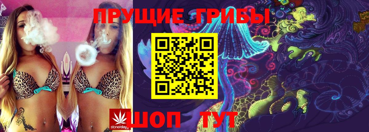 дарнет шоп  Псилоцибиновые грибы Psilocybine cubensis  Вход с VPN  Галлюциногенные грибы GOLDEN TEACHER  Стрежевой 