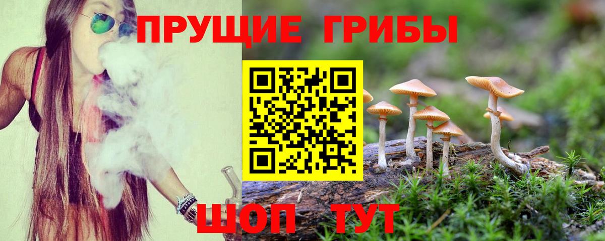 Псилоцибиновые грибы Magic Shrooms Стрежевой